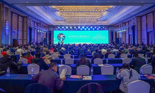 品牌公關活動策劃指南 構建高效傳播與深度連接的實戰策略